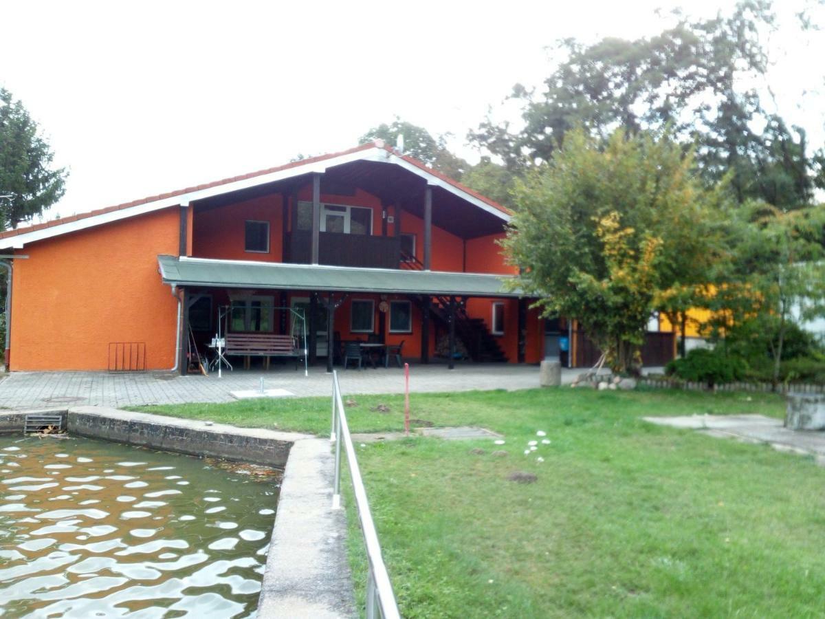 Pension Waldbad Dommitzsch Exterior photo